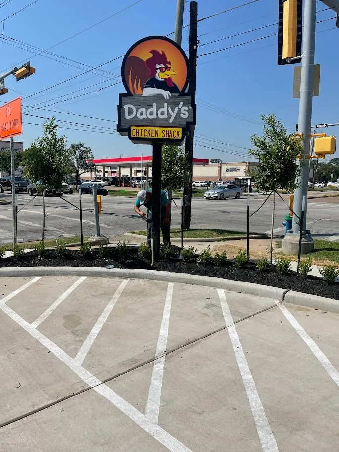 DADDYS CHICKEN